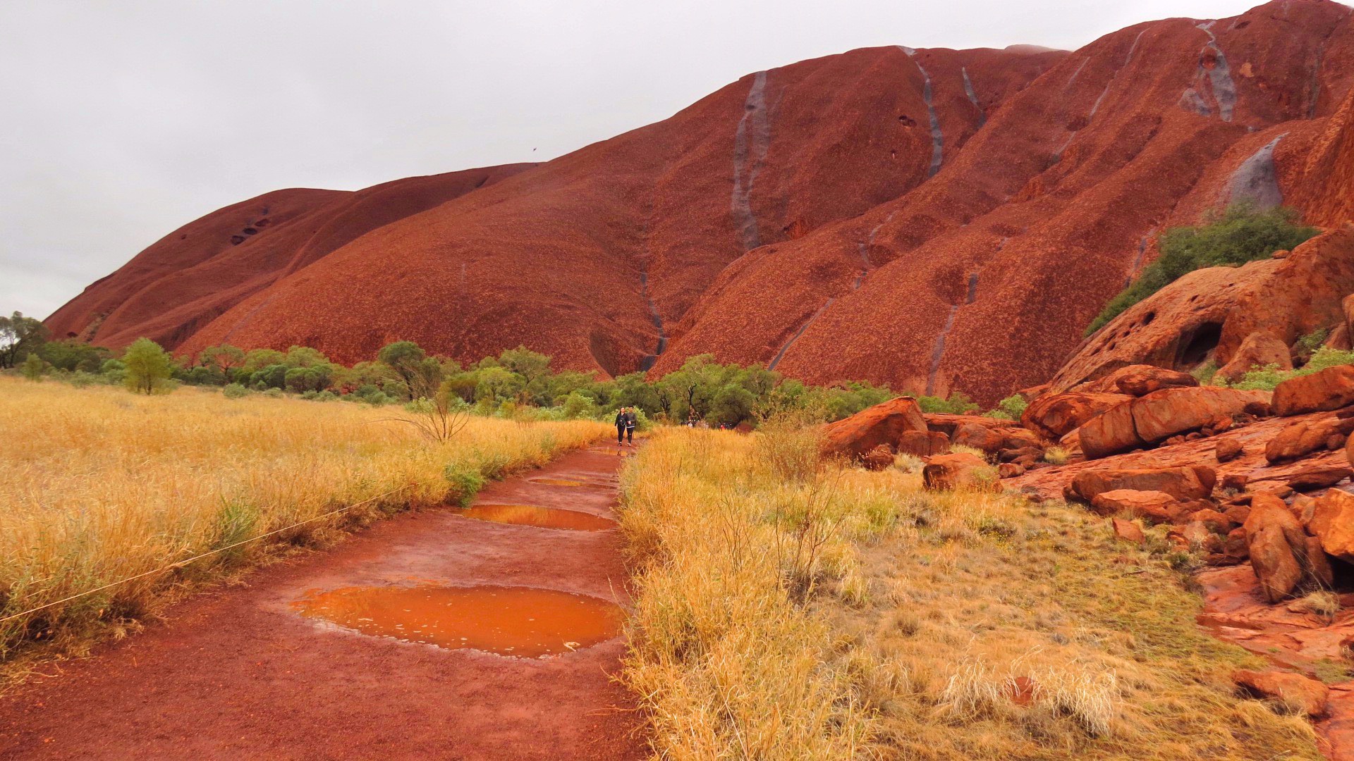 Top 10 Things To Do In Uluru - Why You Wander